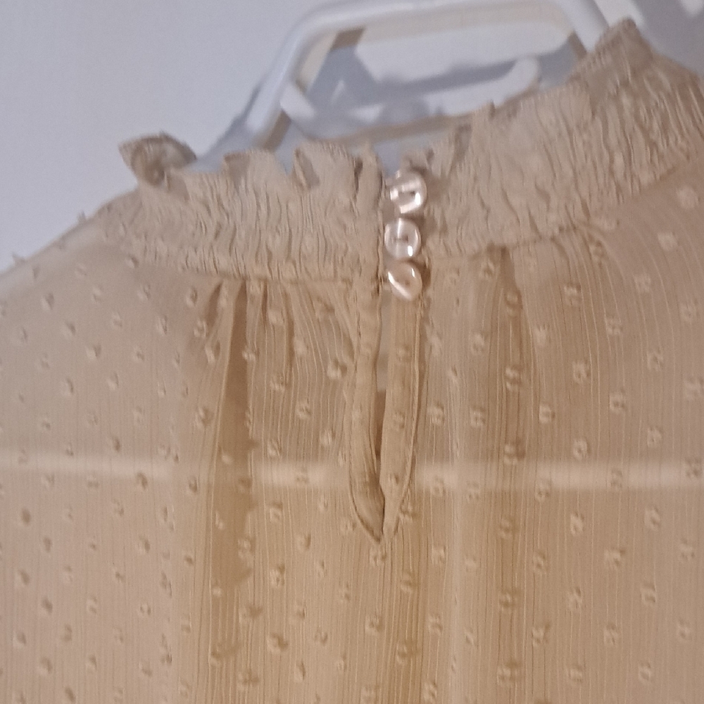 Elegant Cream Lace Women's Top - Picture 8 of 10